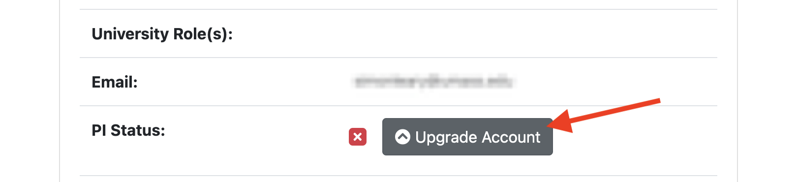 allocation portal upgrade account to PI status button
