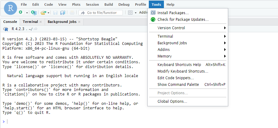 RStudio Tools Tab